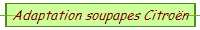 Adaptation soupapes Citroën
